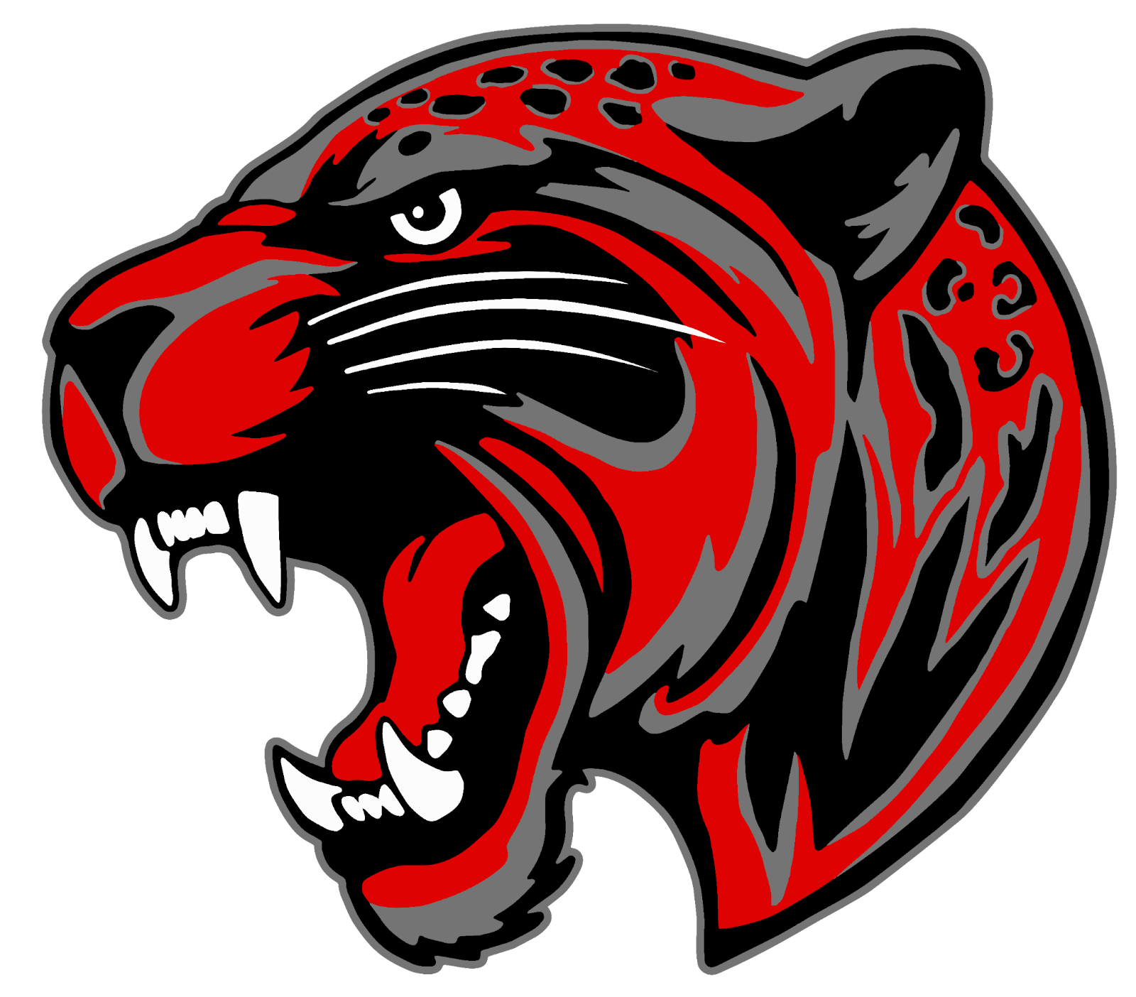 Final JTHS JAGUAR grey stroke for black bkrns only.png